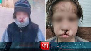 «ЧП»: 29 ноября 2024 года | «Чрезвычайное происшествие» на НТВ