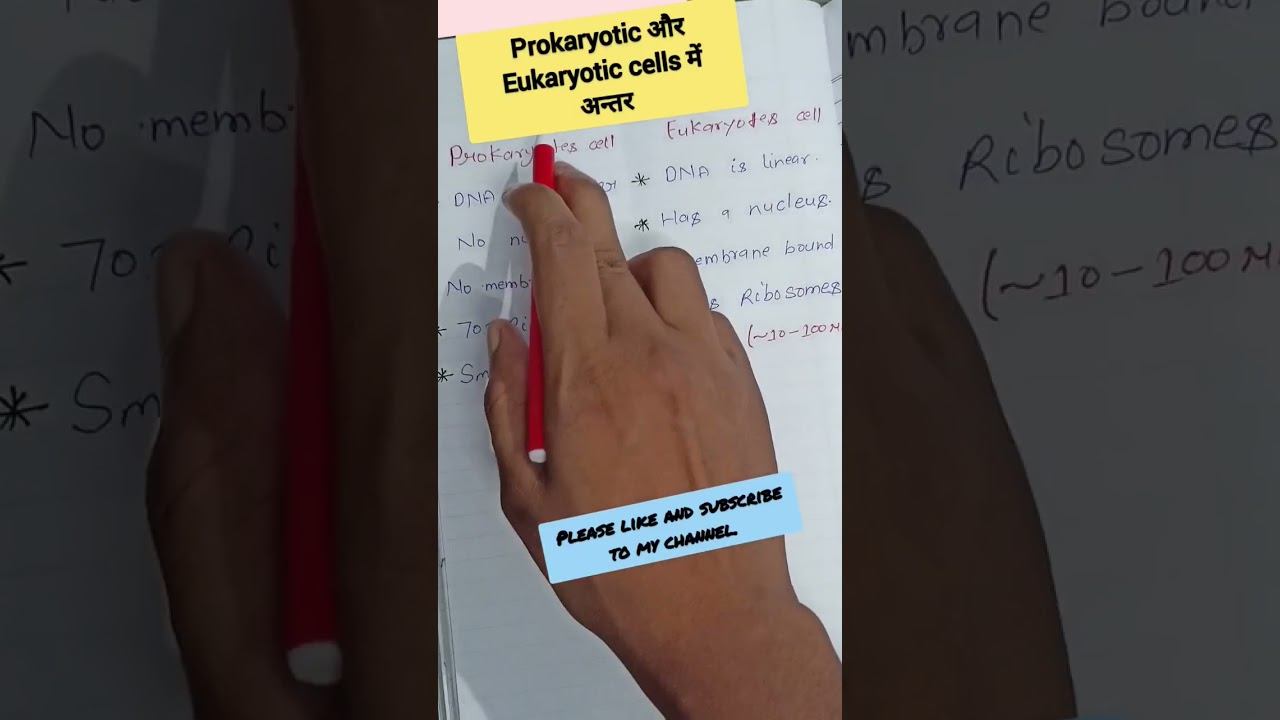 Prokaryotic and Eukaryotic cells me antar #biology #cell #neetquestion #aiims #science #neet2024 смотреть онлайн
