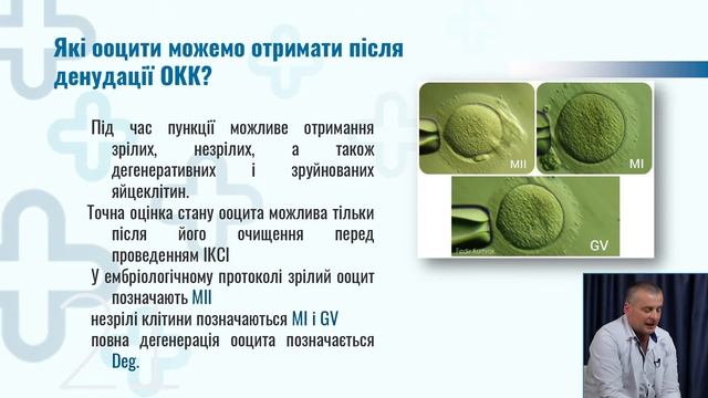 10. Ембріологічне забезпечення у програмах ДРТ | Частина 1 | Куртяк Федір | МЦ "Плюсмед" смотреть онлайн