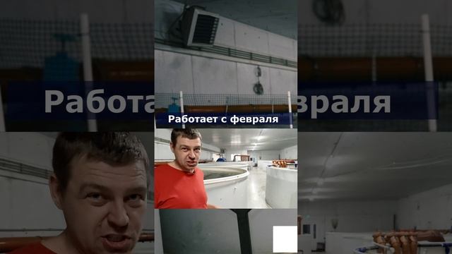 Система работает с февраля акварост смотреть онлайн