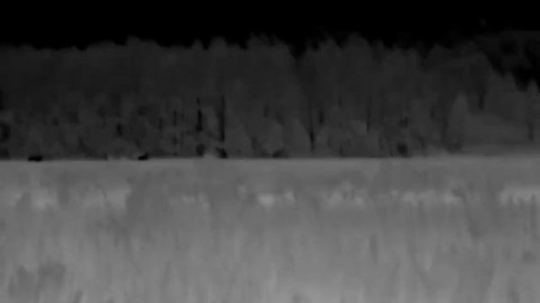 Pulsar Axion 2 XG35 LRF