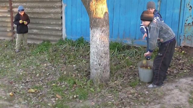 Великая Знаменка. Собираем груши смотреть онлайн