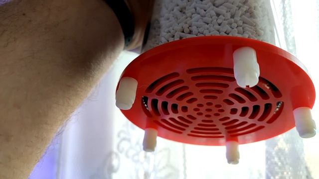 SCRUBBER CO2 - ALE TO JEST DOBRE #2 / PROBLEM Z PH W AKWARIUM