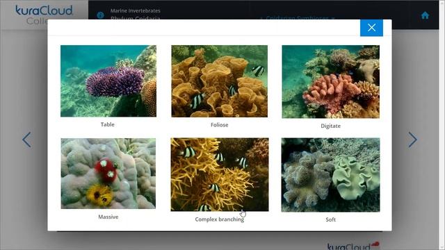 Introduction to Lessons and Modules смотреть онлайн