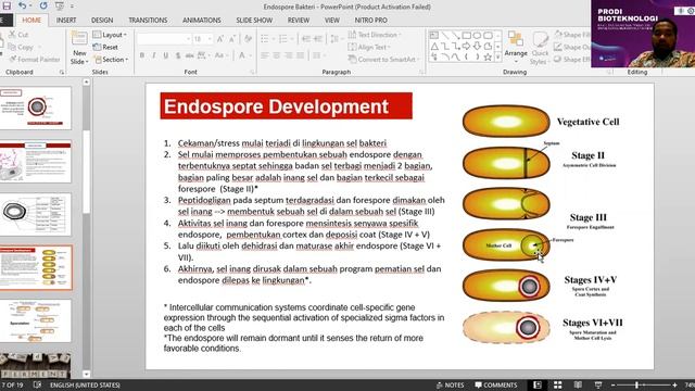 Endospora Bakteri смотреть онлайн