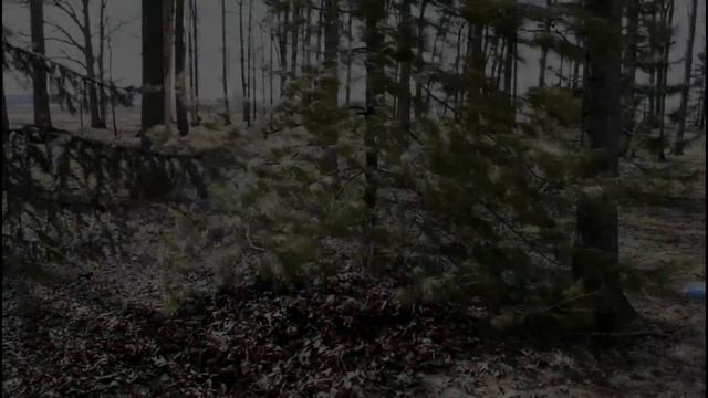 Radiodetection 7001 / 8001 MRX Ball Marker Locator смотреть онлайн