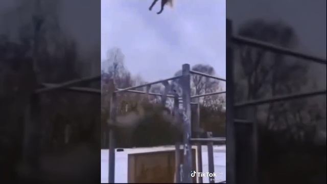 Не нужно ругать ленивых брат смотреть онлайн