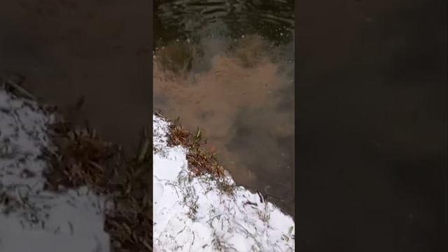произвели запуск смотреть онлайн