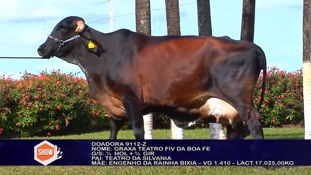 9112 Z 1 - GRAXA TEATRO FIV DA BOA FÉ смотреть онлайн