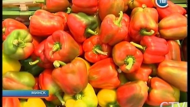 "Столичные подробности" 05.08.2015 смотреть онлайн