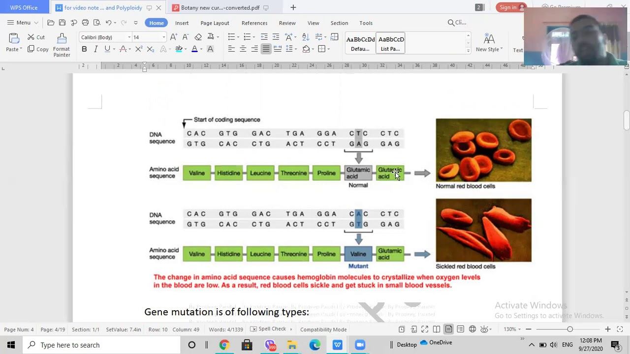 Lecture on mutation and polyploidy by Prodeep Paudel смотреть онлайн