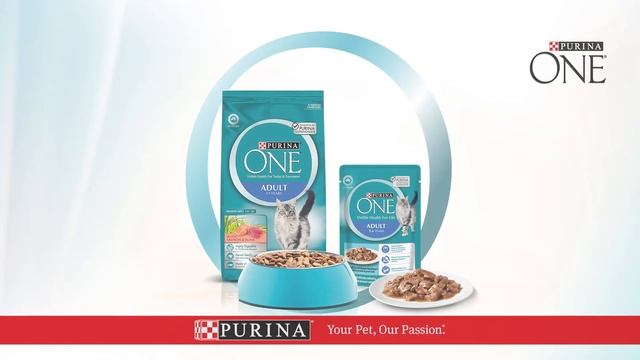 Purina ONE® Adult Cat Food Mixed Feeding смотреть онлайн