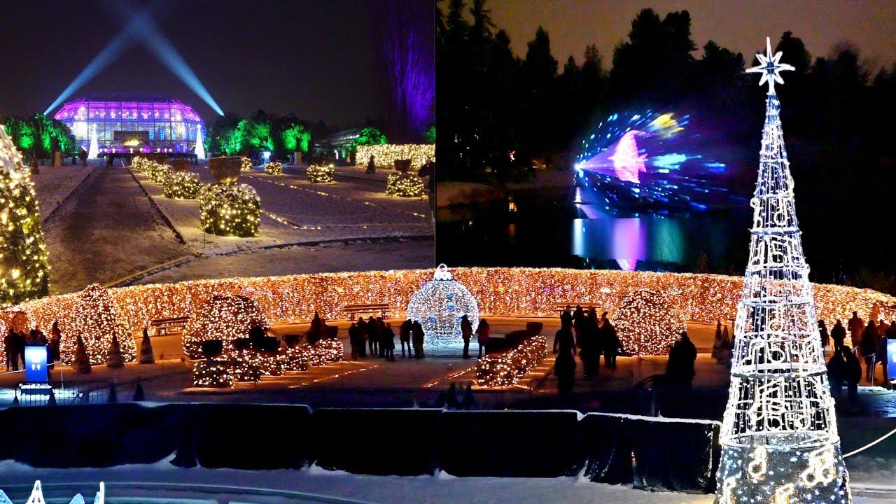 Magical Christmas in Botanical Garden Berlin | 2021 смотреть онлайн