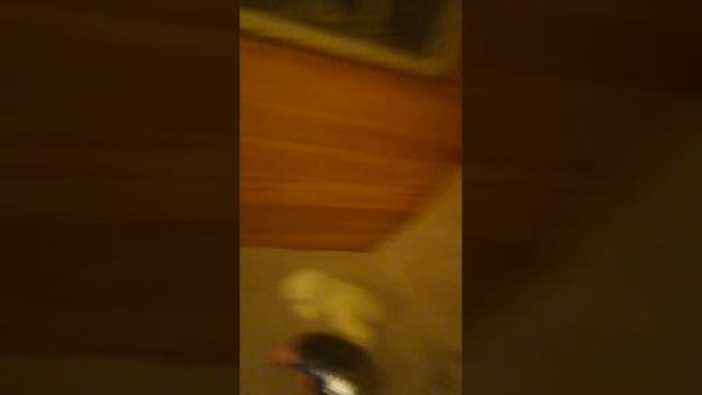 полиция отчимов дополнение(4) смотреть онлайн
