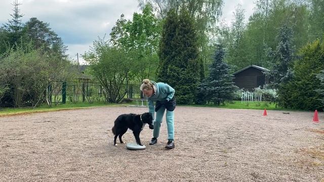 Боковые шаги с рукой смотреть онлайн