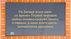 Cвoя игpa ( Новый выпycк! ) 24.02.2018