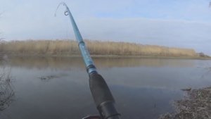 ВОТ ЭТО ПОКЛЕВКА! БЕГУ КРОСС! Рыбалка на поплавок и фидер в ноябре!