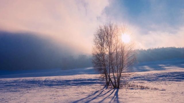 945 🎼. Эдгар Туниянц - “Наедине С Музыкой (Романс)» смотреть онлайн