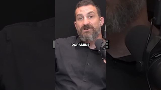 Quitting Vaping is Harder Than Cigarettes Andrew Huberman смотреть онлайн
