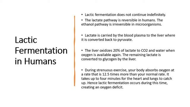 12.3: Anaerobic Respiration and Respiratory Substrates смотреть онлайн