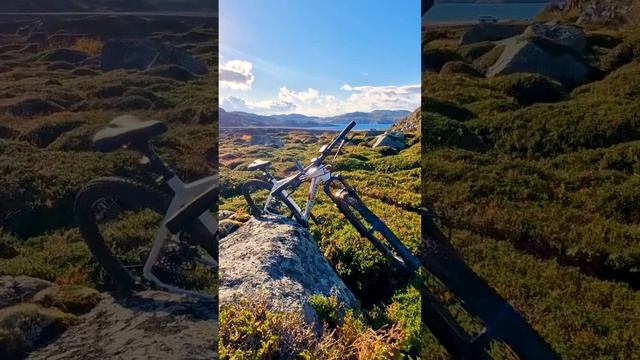 Я угадал? Именно о такой вело покатушки ты мечтаешь? смотреть онлайн