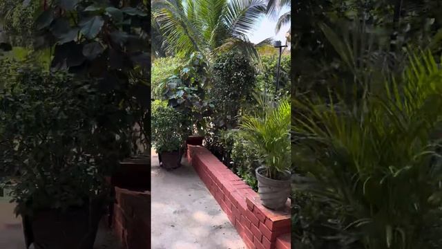 Территория отеля Colonia Santa Maria 4*, рядом пляж Bagga