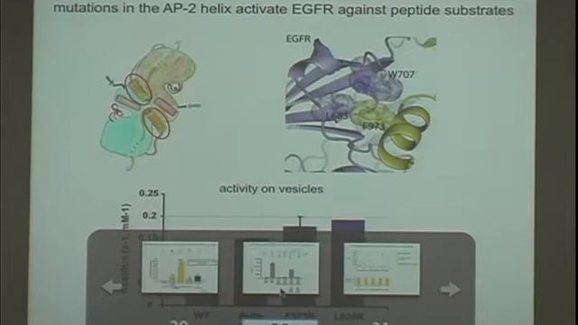 How EGF Receptors are activated смотреть онлайн
