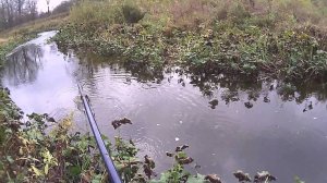 electrofishing