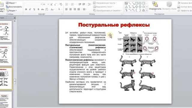 Фізіологія. Практика 52. Рефлекторна функція спинного мозку смотреть онлайн