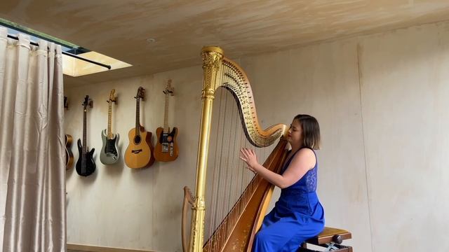 A Week In The Life | Harpist Iona | смотреть онлайн
