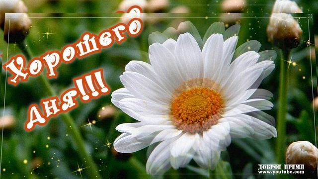 КРАСИВАЯ ПЕСНЯ БЕЗ СЛОВ...ХОРОШЕГО ДНЯ!!! смотреть онлайн