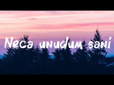 Flora Kərimova - Necə unudum səni (sözləri/lyrics) смотреть онлайн