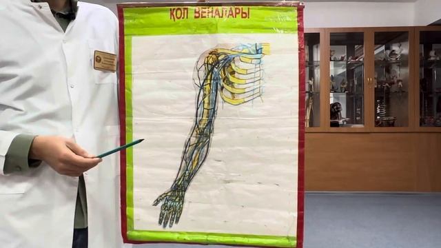 Қолдың веналары смотреть онлайн