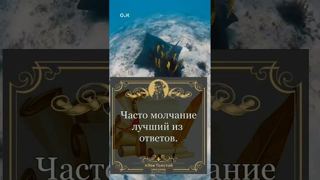 Сила Слова смотреть онлайн