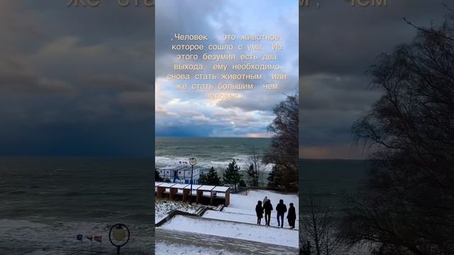 Человек-это животное, которое.. Юнг #разборпсихолога #цитаты #юнг #психолог #созависимость #море смотреть онлайн
