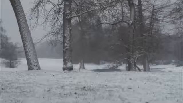 Zahia dehar em alice in wonderland. смотреть онлайн