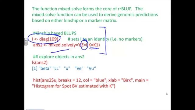 Genome Wide Selection with rrBLUP Part 3 смотреть онлайн