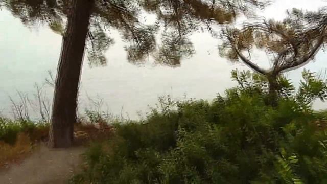 Люди или Свиньи // Жизнь в деревне // смотреть онлайн