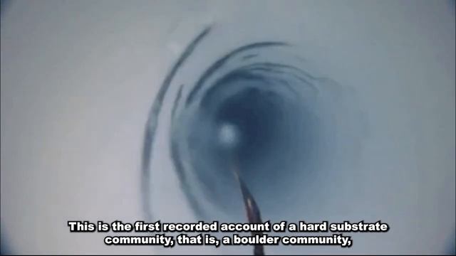 Elon Musk Tells Us What The Navy Saw While Diving in the Ocean смотреть онлайн