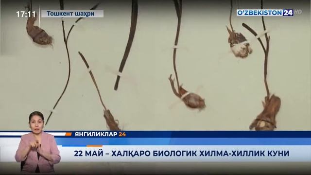 22-may - xalqaro biologik xilma-xillik kuni - FA Botanika instituti va Botanika bog'iga press-tur смотреть онлайн
