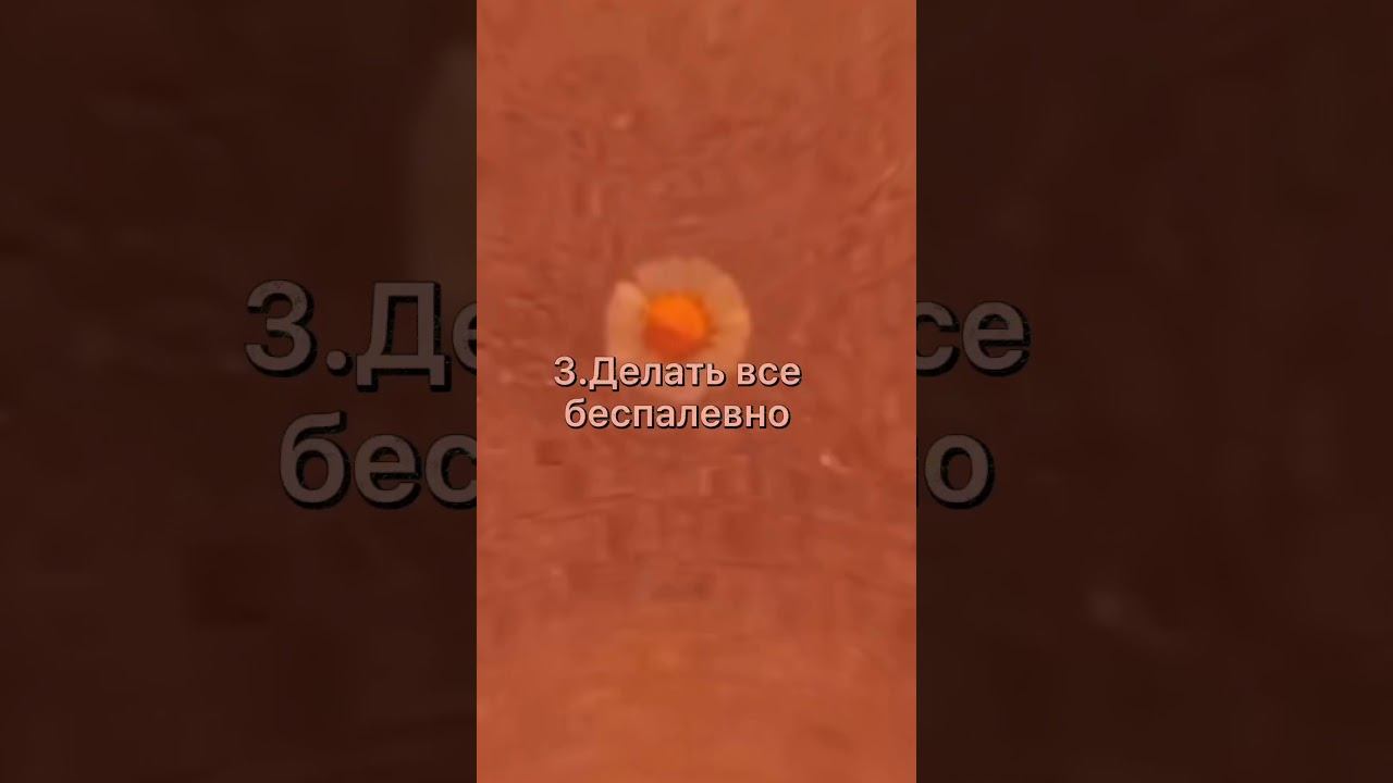 🧁(дети,у которых строгие родители умеют:)🧁 смотреть онлайн
