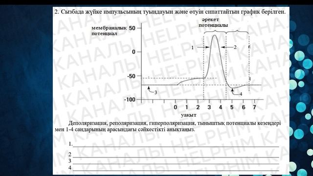 БИОЛОГИЯ 9-СЫНЫП БЖБ-3 2-ТОҚСАН смотреть онлайн