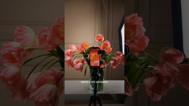 Линза Apexel macro 100mm, артикул на OZON — 837819468 смотреть онлайн