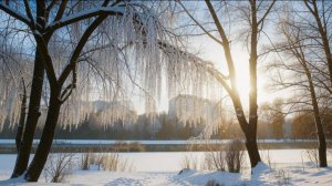 "Мы ждём весны, а встретимся зимой"