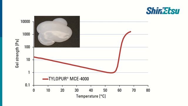 Thermal Gelation of TYLOPUR - Best Bite for Plant-Based with Methylcellulose смотреть онлайн