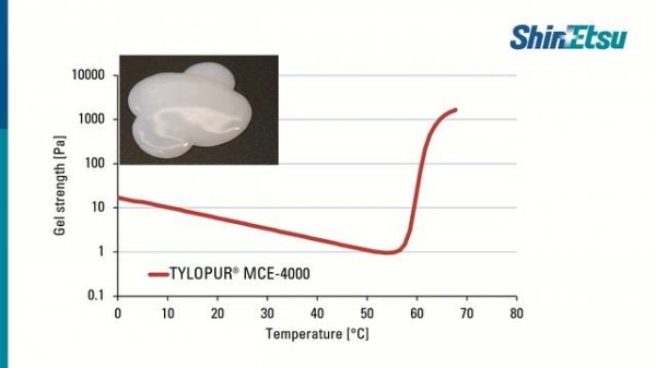Thermal Gelation of TYLOPUR - Best Bite for Plant-Based with Methylcellulose