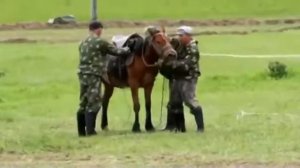 Эл-Ойын - 2014. Объездка лошадей