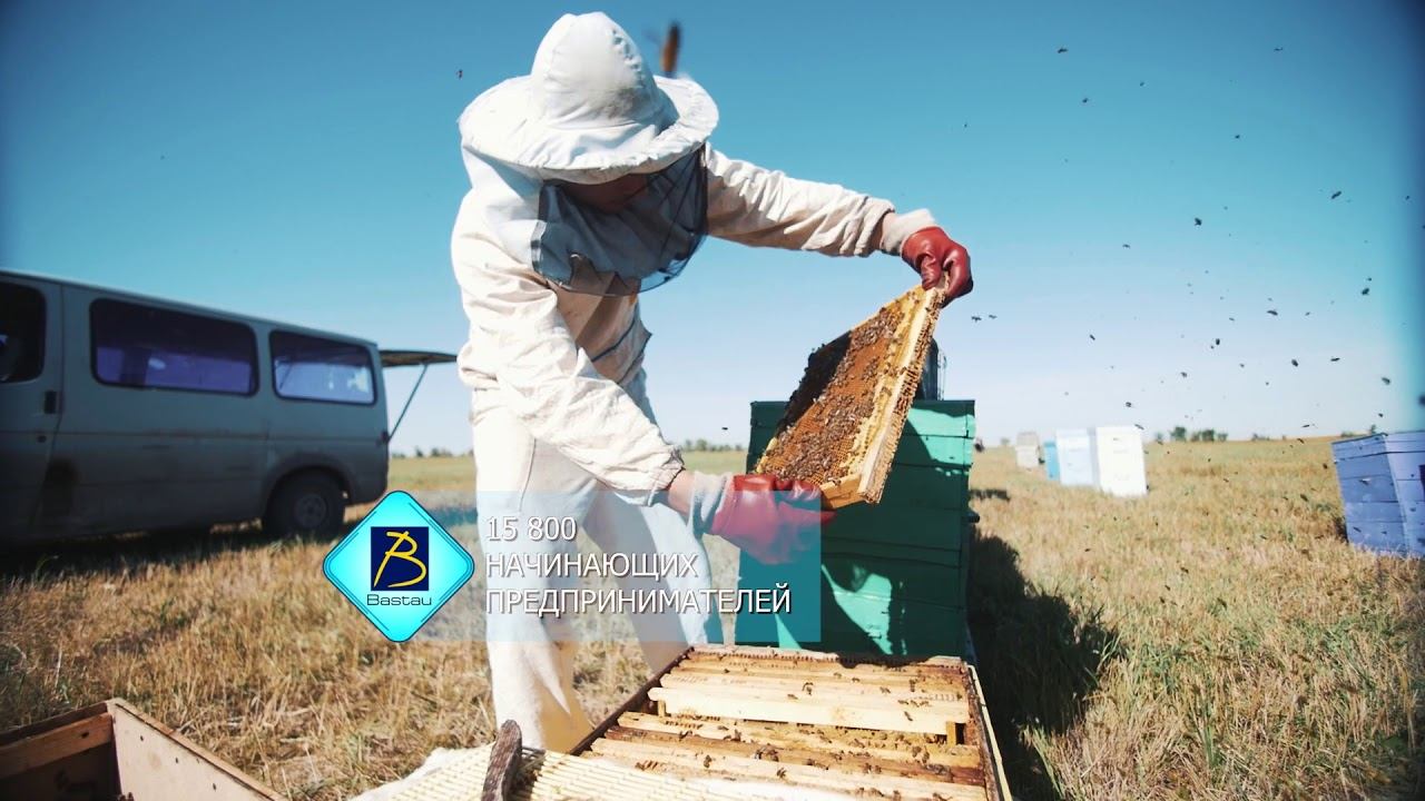 Программа развития продуктивной занятости и массового предпринимательства смотреть онлайн