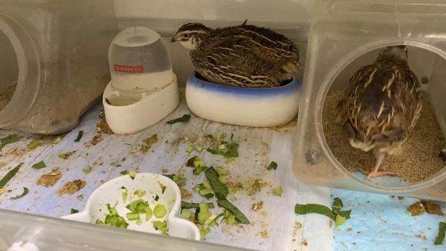 ザ・ノンフィクション たどりついた家族 2 後編 2023年3月5日 смотреть онлайн