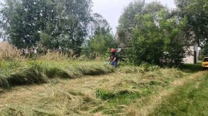 Кошу очень сильно заросший участок диском champion с долотообразным зубом. Бензокоса stihl fs 350.